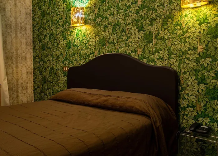 Hotel Il Guercino 4*